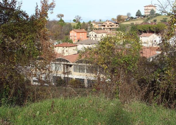 immagine annuncio 10 di 13
