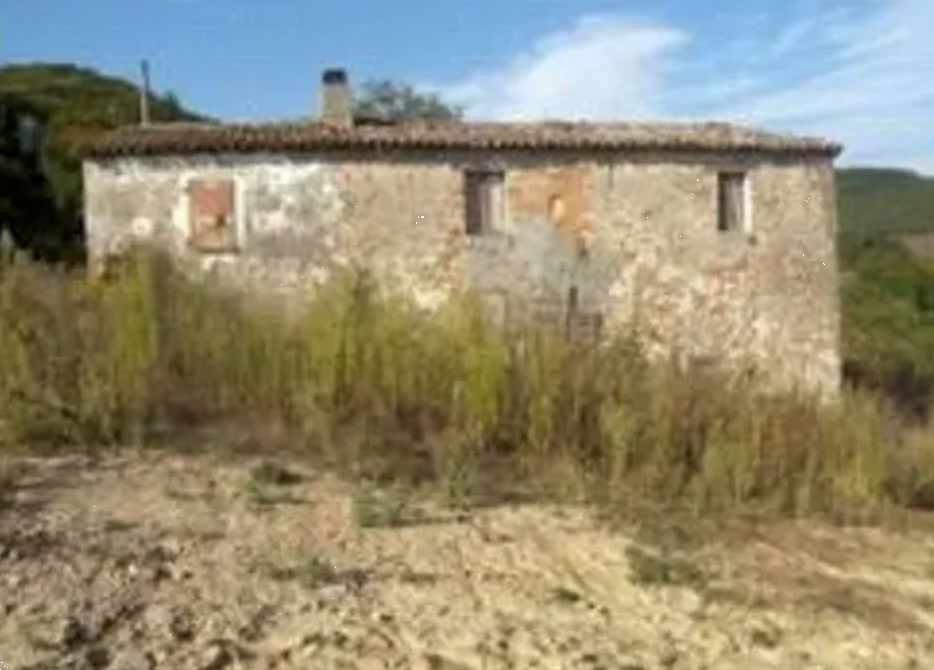 immagine annuncio 4 di 13