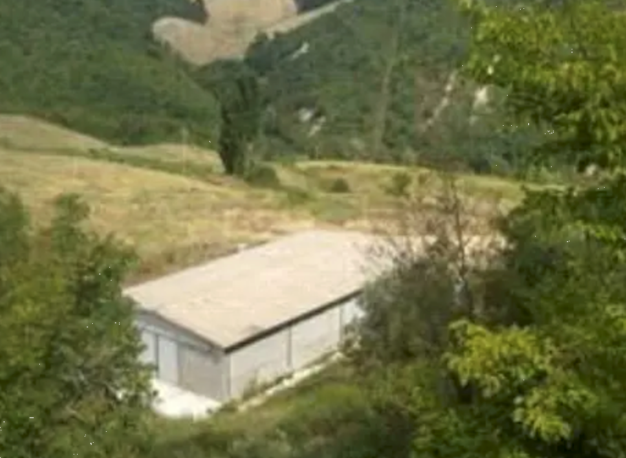 immagine annuncio 5 di 13