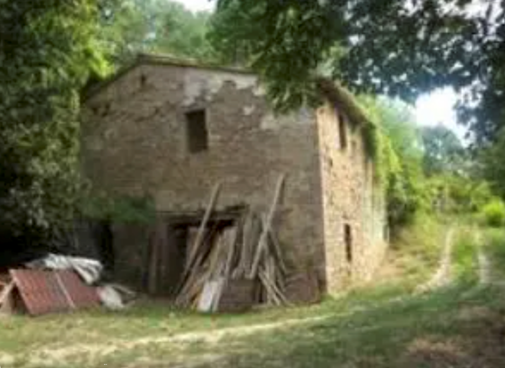 immagine annuncio 1 di 13