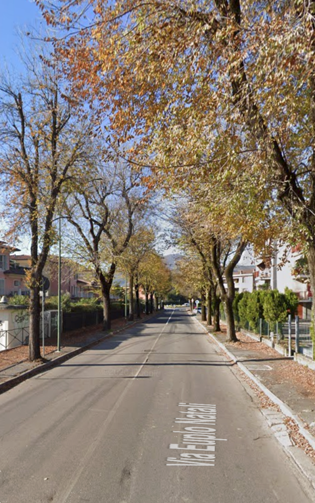 immagine annuncio 11 di 13