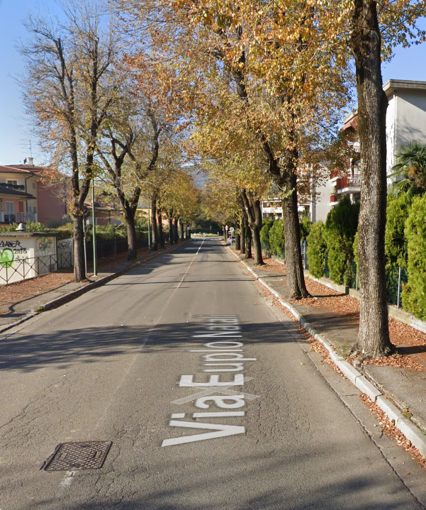 immagine annuncio 3 di 10
