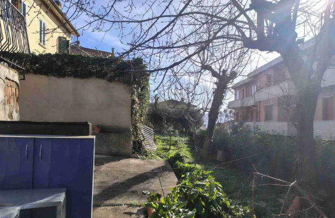 immagine annuncio 11 di 13