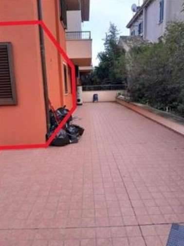 immagine annuncio 5 di 8