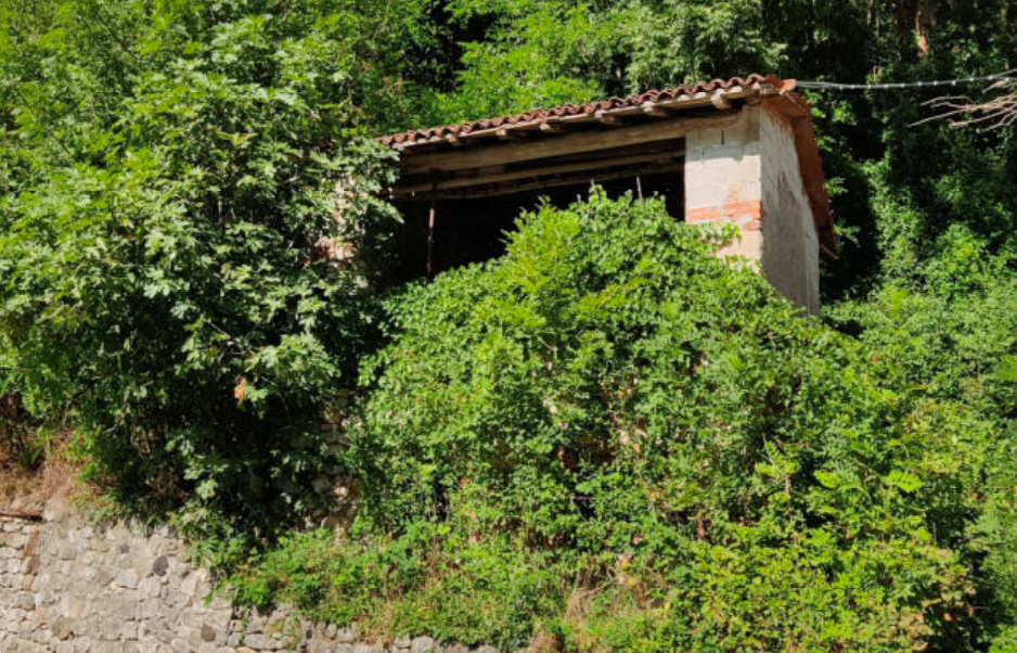immagine annuncio 1 di 13