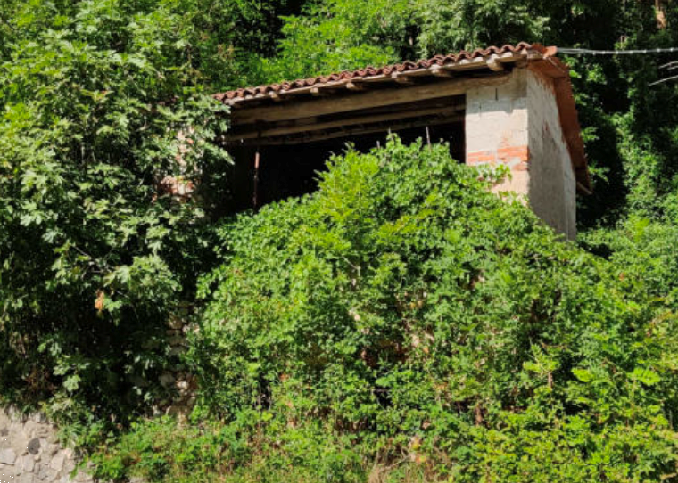 immagine annuncio 8 di 13