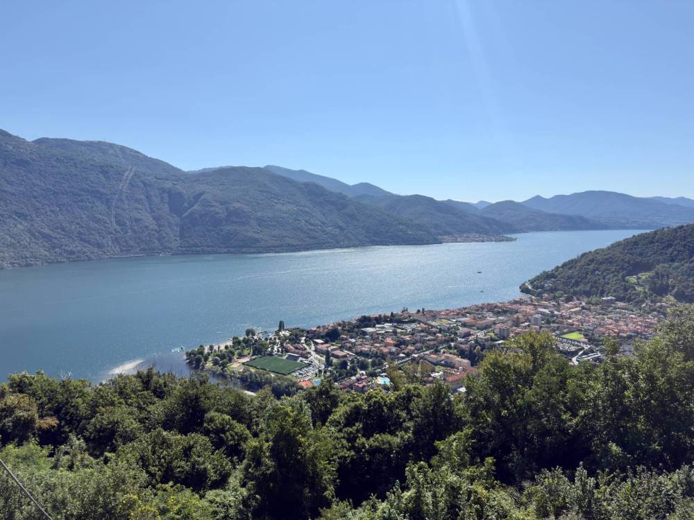 immagine annuncio 10 di 14