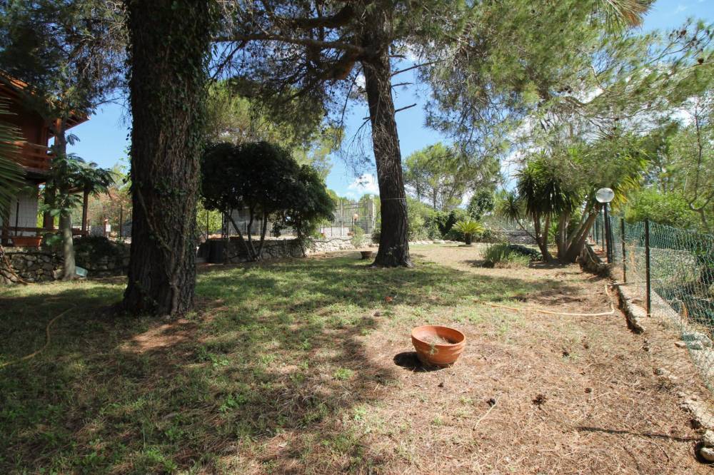 immagine annuncio 10 di 13