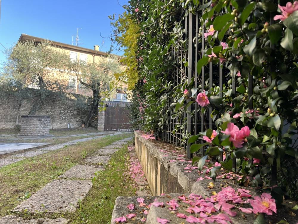 immagine annuncio 6 di 13