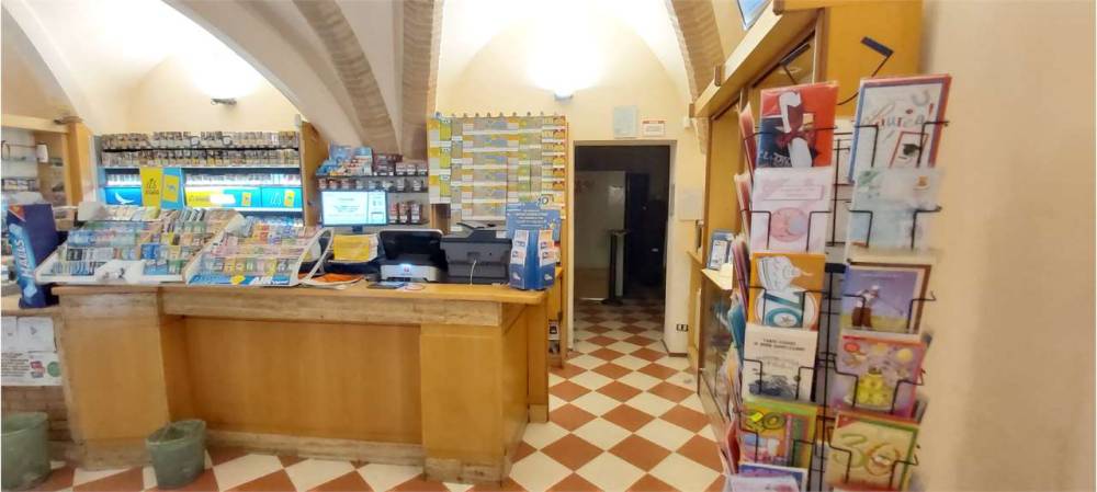 immagine annuncio 9 di 11
