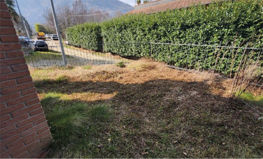 immagine annuncio 8 di 13