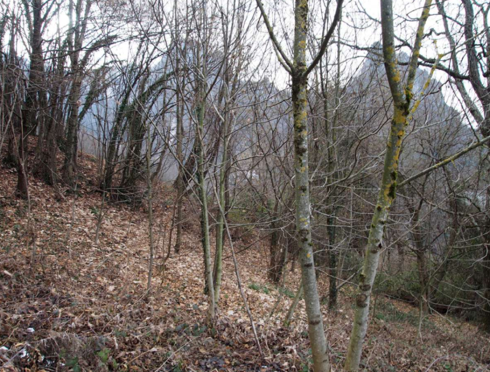 immagine annuncio 3 di 11