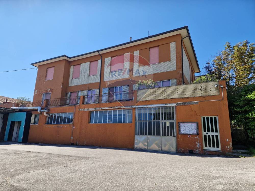 immagine annuncio 3 di 13