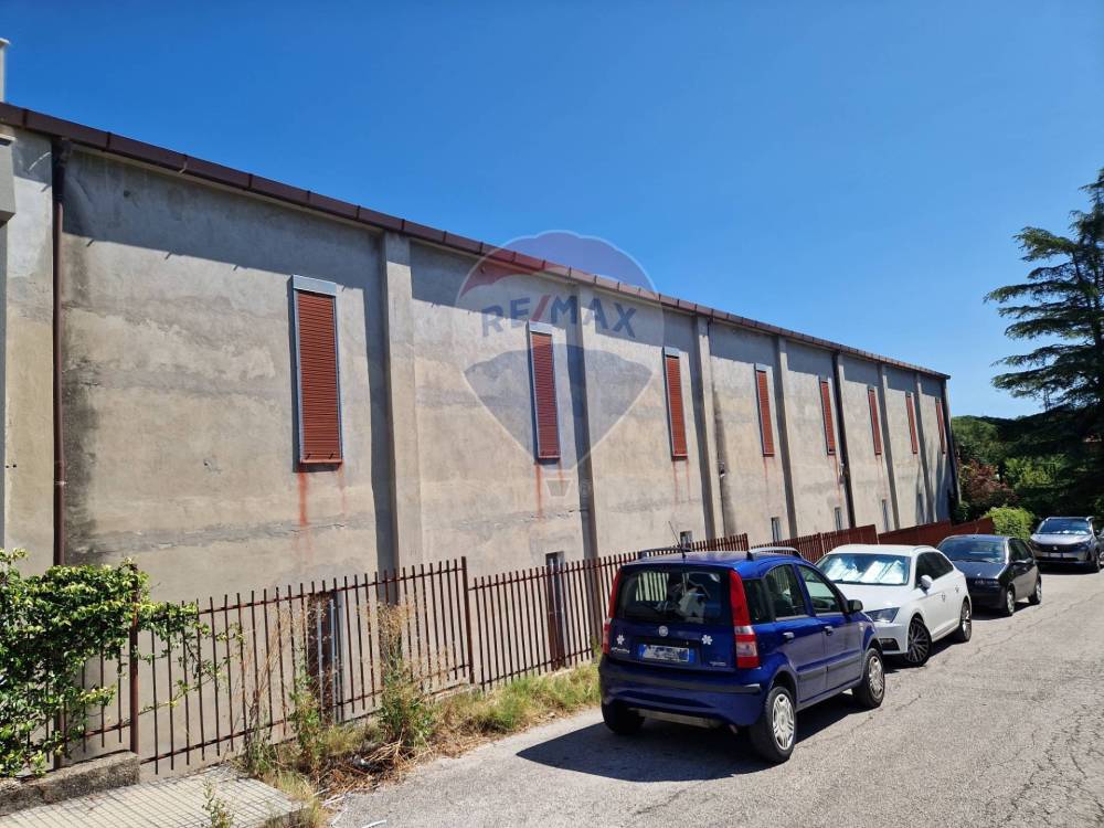 immagine annuncio 6 di 13