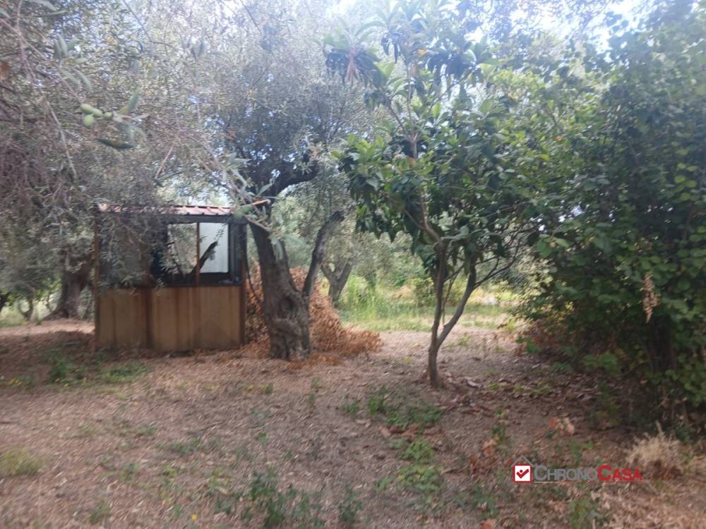 immagine annuncio 8 di 9