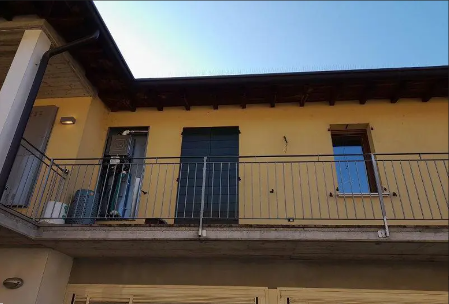 immagine annuncio 12 di 14
