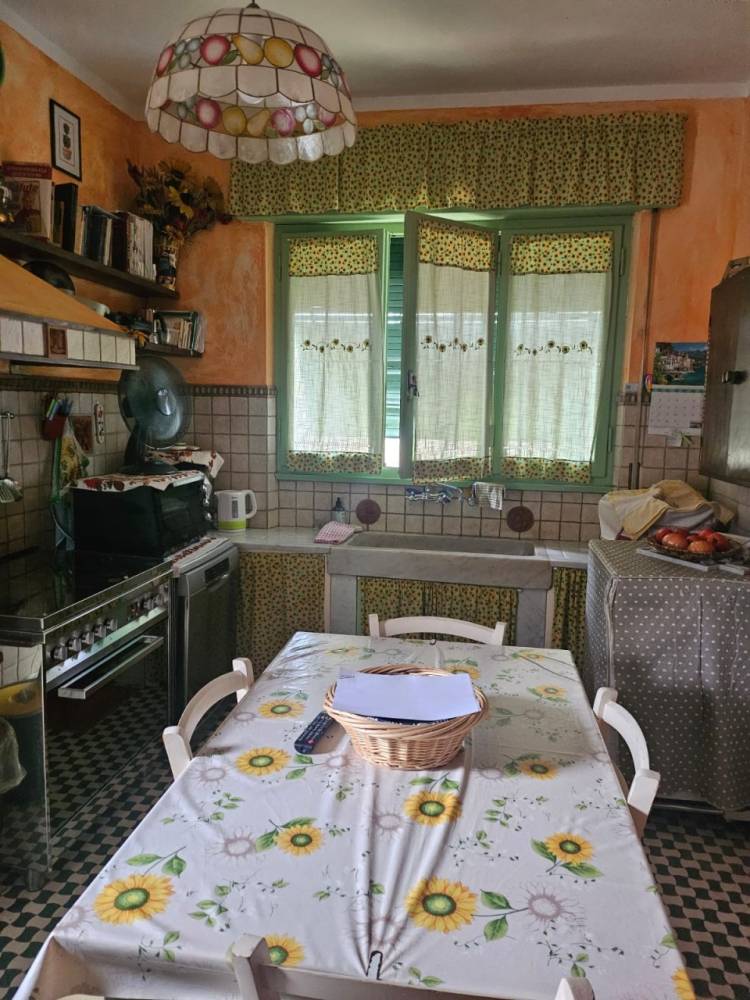 immagine annuncio 5 di 7