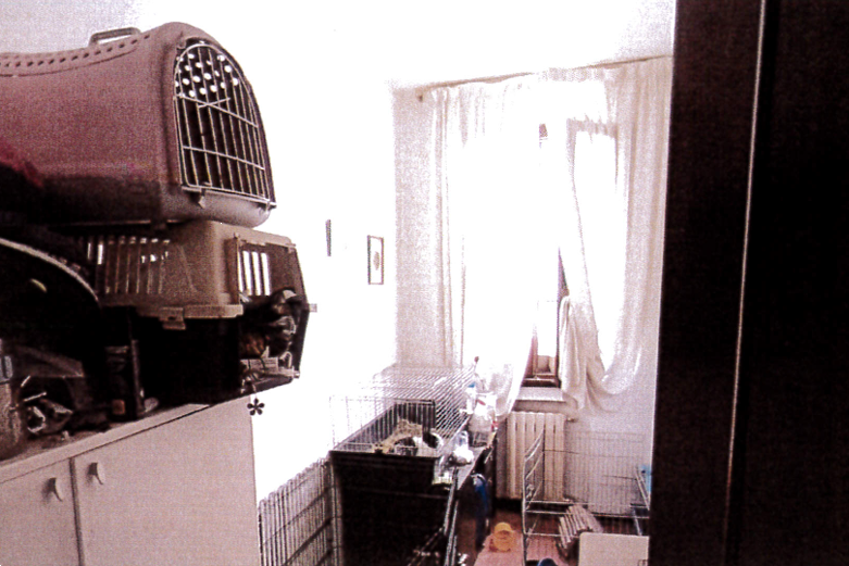 immagine annuncio 7 di 13