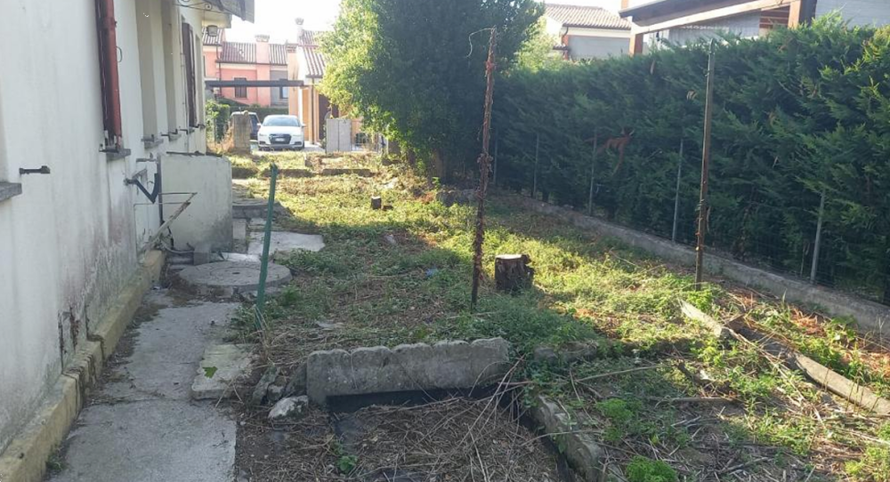 immagine annuncio 6 di 13