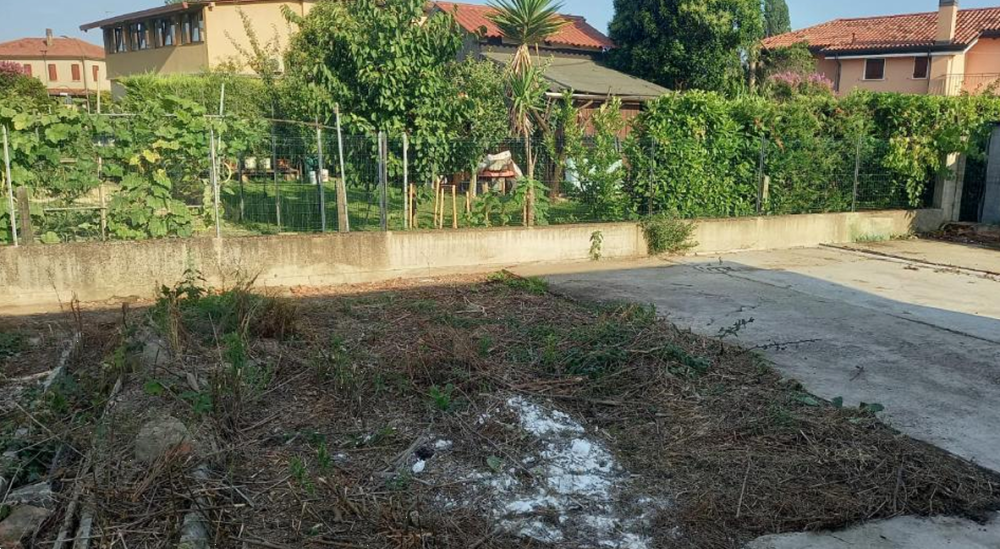 immagine annuncio 9 di 13