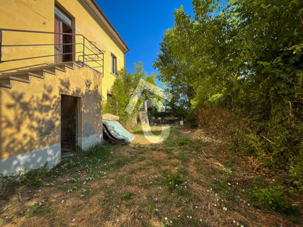 immagine annuncio 7 di 13