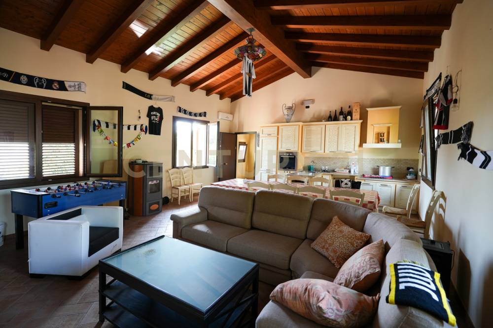 immagine annuncio 11 di 13