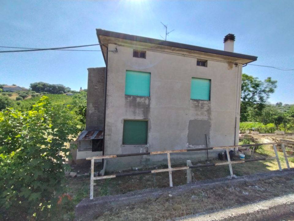 immagine annuncio 6 di 8