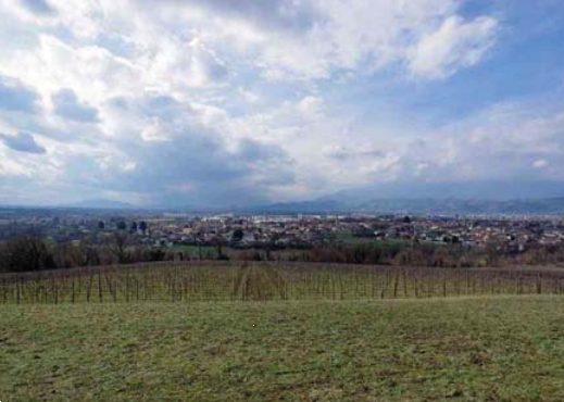 immagine annuncio 2 di 13
