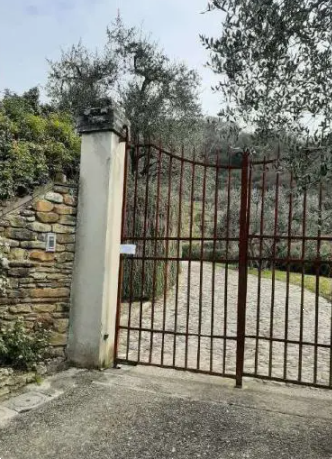 immagine annuncio 3 di 13
