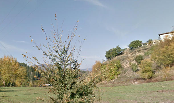immagine annuncio 12 di 13