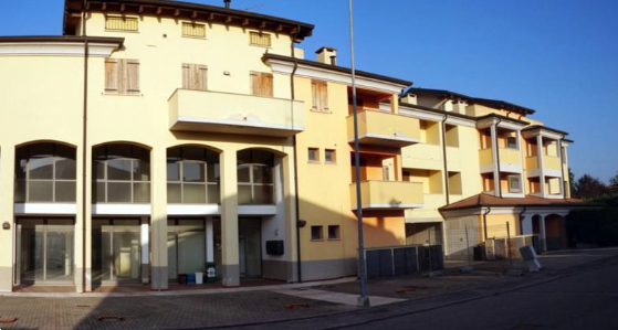 immagine annuncio 1 di 11