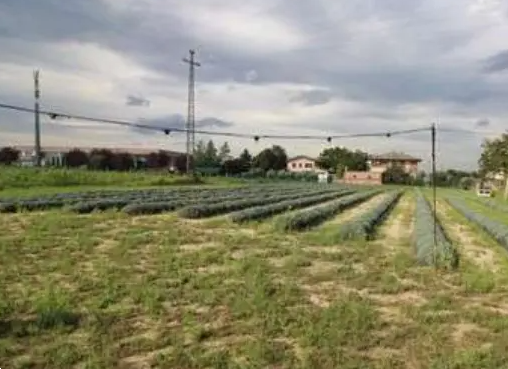 immagine annuncio 7 di 9