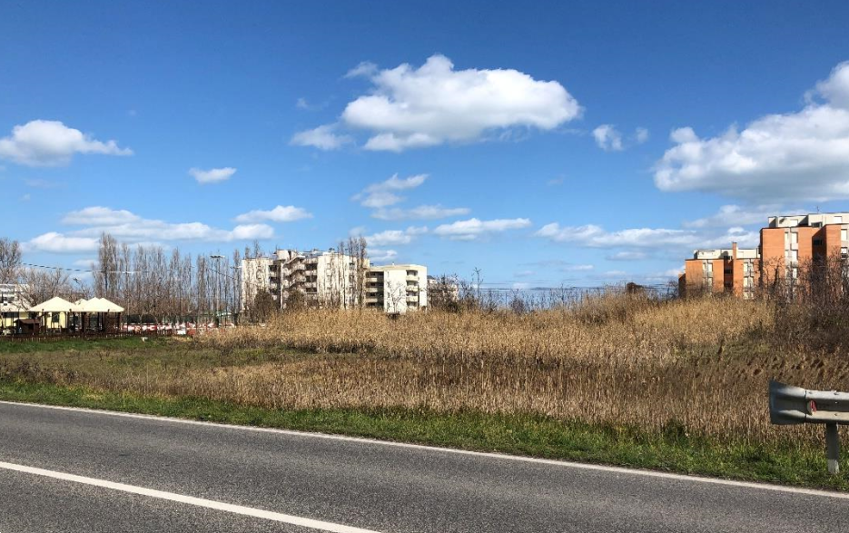 immagine annuncio 3 di 13