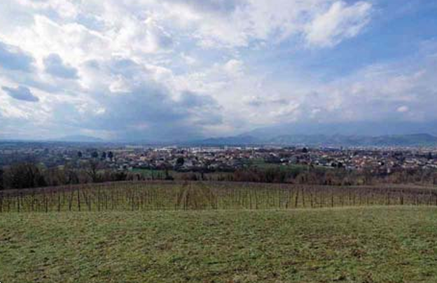 immagine annuncio 3 di 13