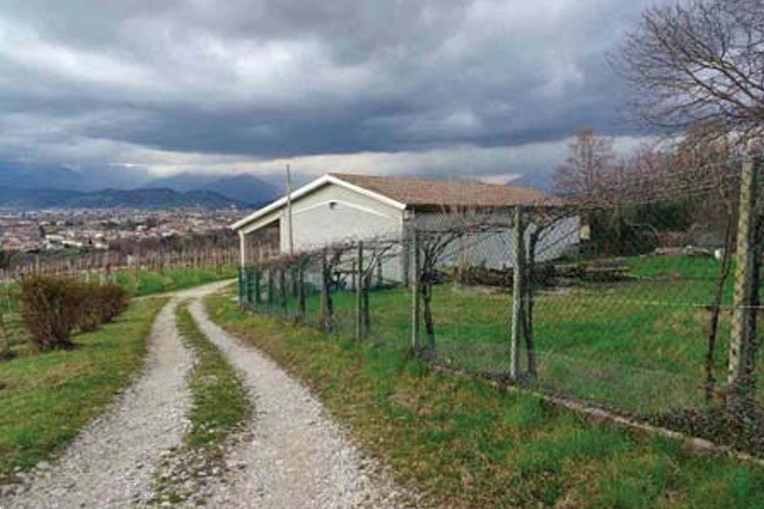 immagine annuncio 1 di 13