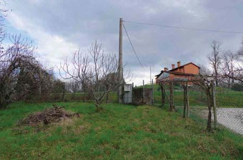 immagine annuncio 4 di 13