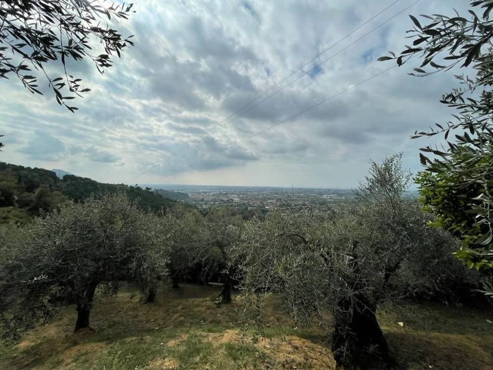immagine annuncio 2 di 12