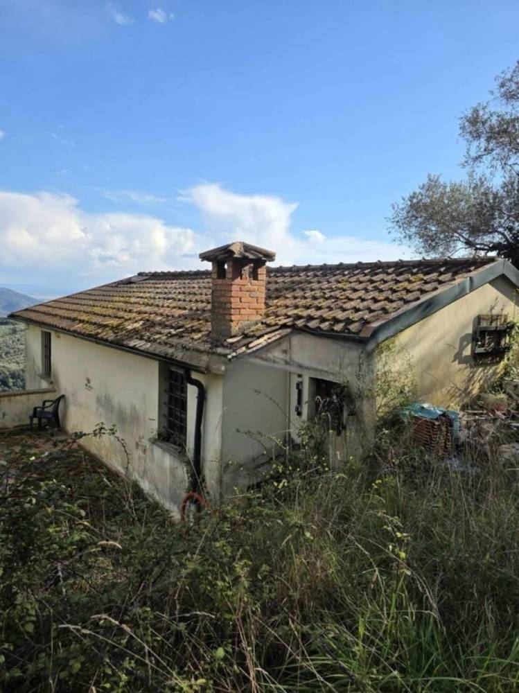 immagine annuncio 5 di 9