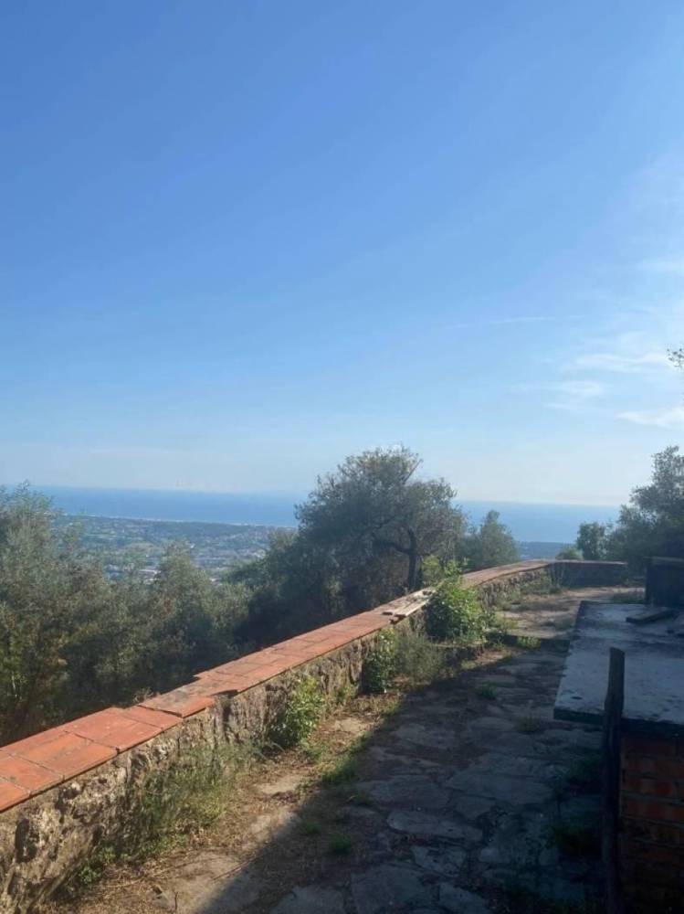 immagine annuncio 4 di 9