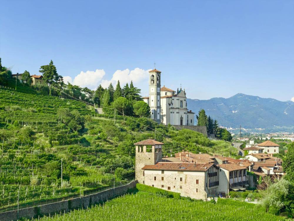 immagine annuncio 5 di 13