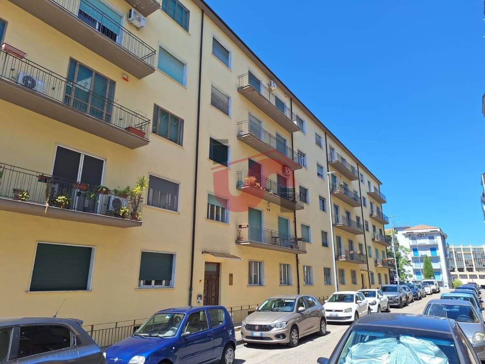 immagine annuncio 3 di 6