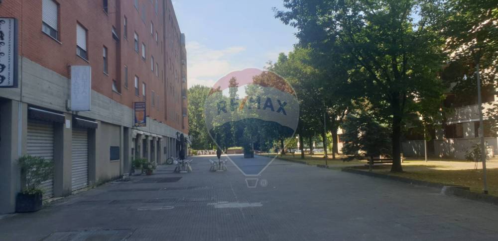immagine annuncio 11 di 13