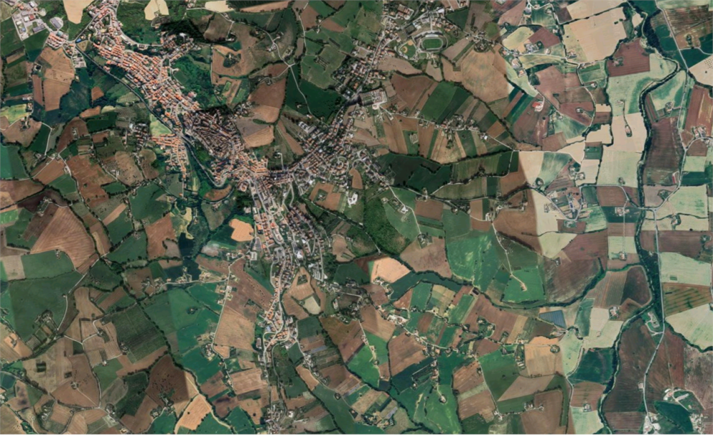 immagine annuncio 11 di 13