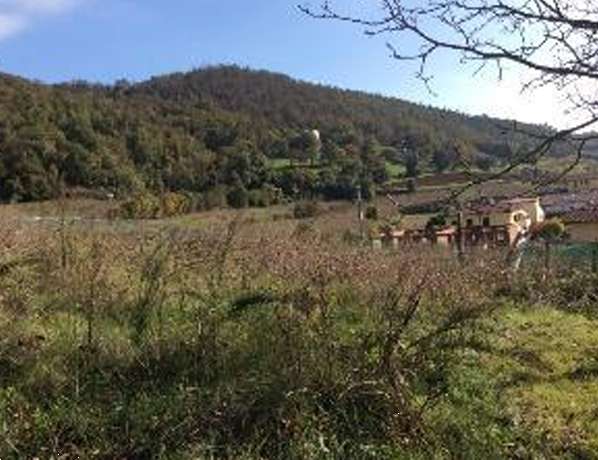 immagine annuncio 4 di 9