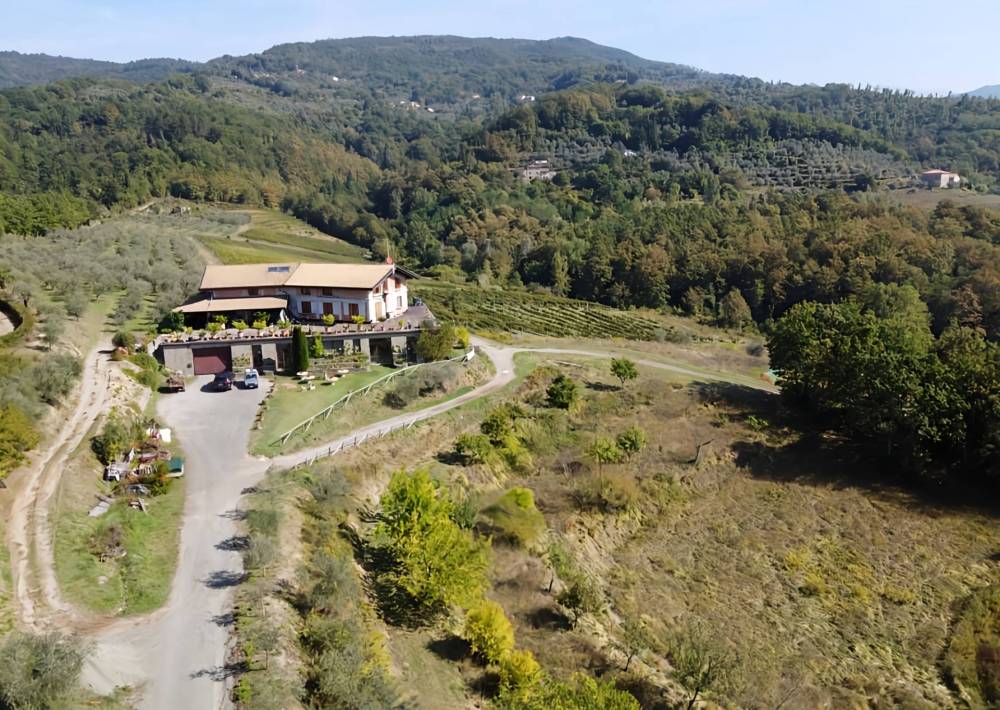 immagine annuncio 2 di 13