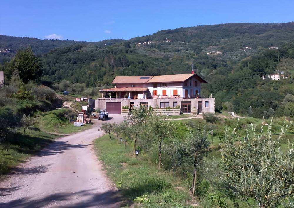 immagine annuncio 3 di 13