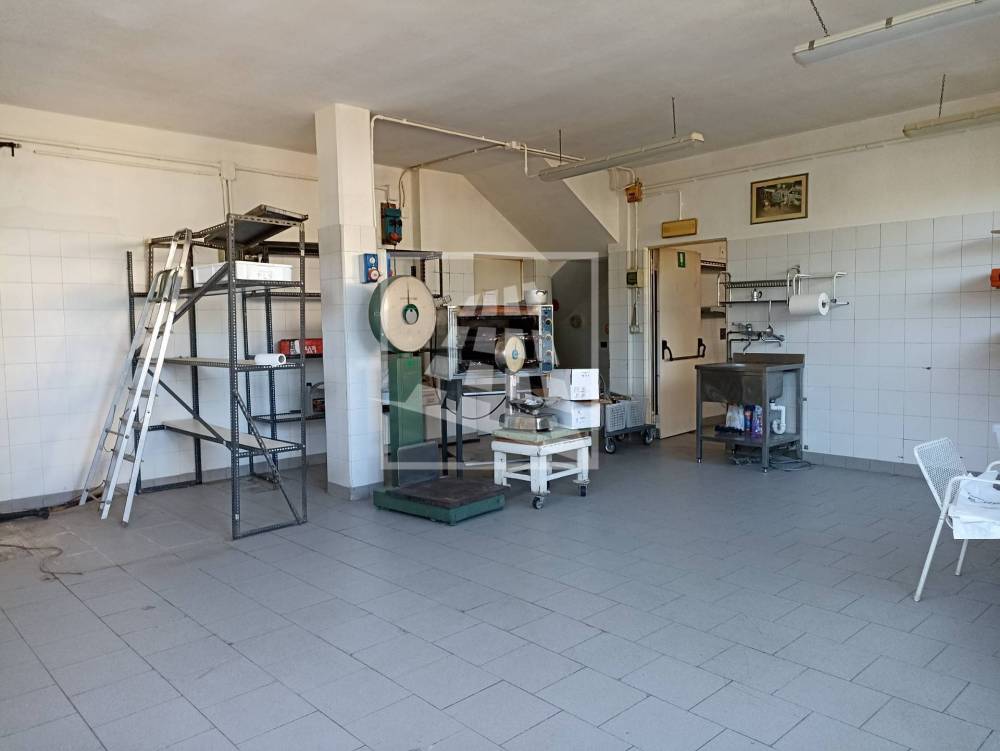immagine annuncio 6 di 13