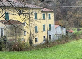 immagine annuncio 5 di 13