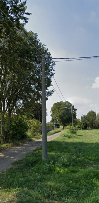immagine annuncio 6 di 13