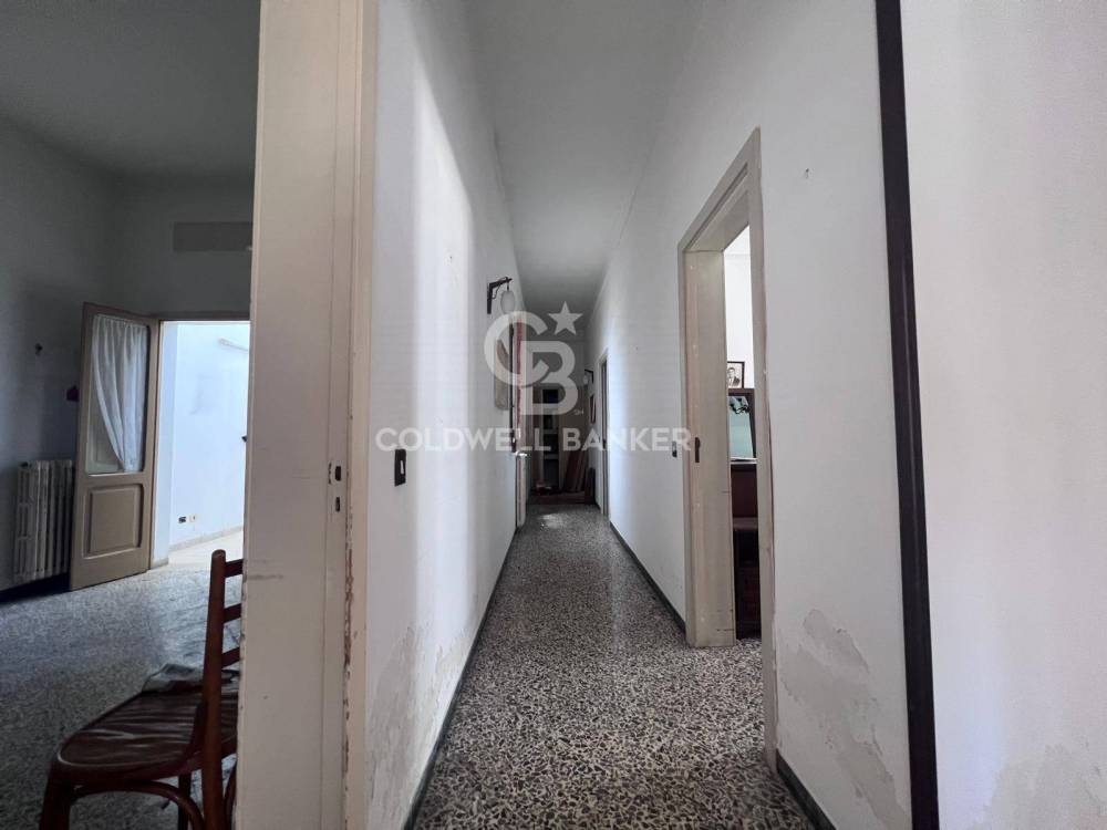 immagine annuncio 11 di 13